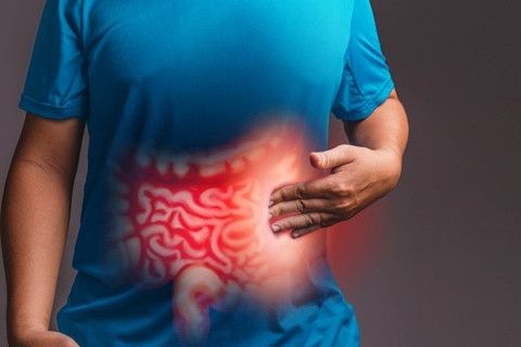 bagirsak-mantarlari-ve-beslenme