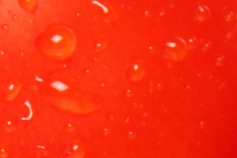 allerji-besin-iliskisi