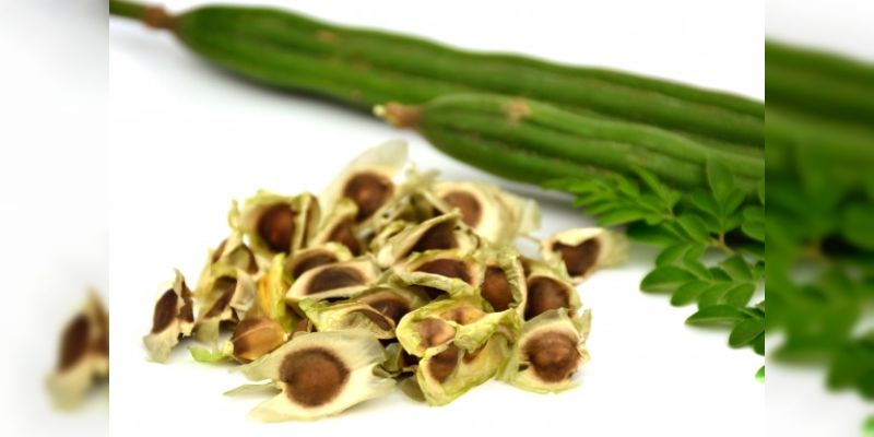 Moringa Çayı Nedir?