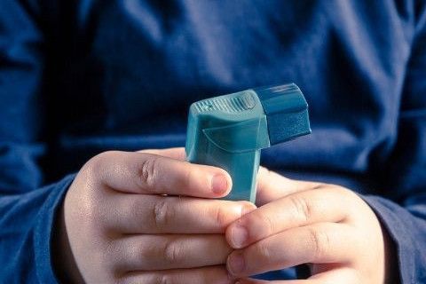 basta-allerjik-astim-olmak-uzere-allerjilerde-beslenme-ve-cevresel-faktorlerin-onemi